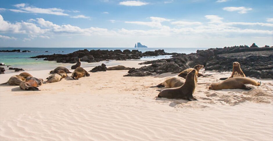 Hurtigruten Expeditions expands 2023-24 Galapagos programme