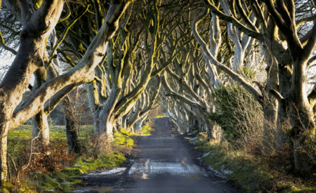 TV Tour: Explore Northern Ireland’s new Game of Thrones Studio