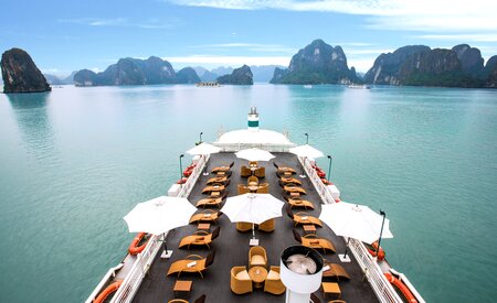 4 of the best winter deals from Rainforest Cruises