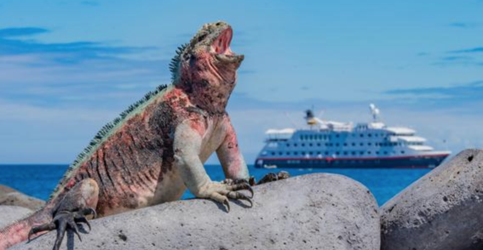 Hurtigruten announces bonus agent commission for Galápagos itineraries